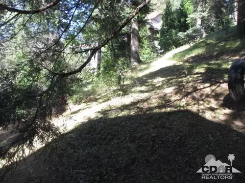 797 Berne Dr, Crestline, CA 92325 photo 6