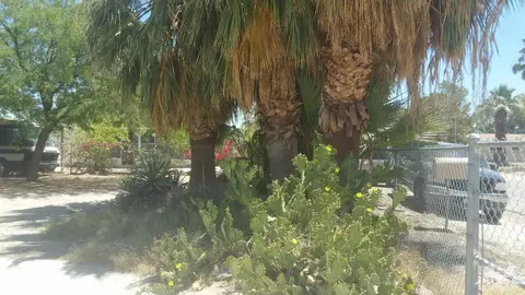 240 El Centro Ave, Salton Sea Beach, CA 92274 photo 11