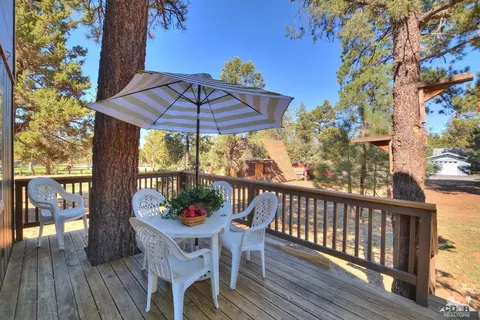 117 Spruce Ln, Sugarloaf, CA 92386 photo 21