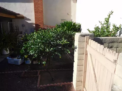 3 Swallowtail, Irvine, CA 92604 photo 31