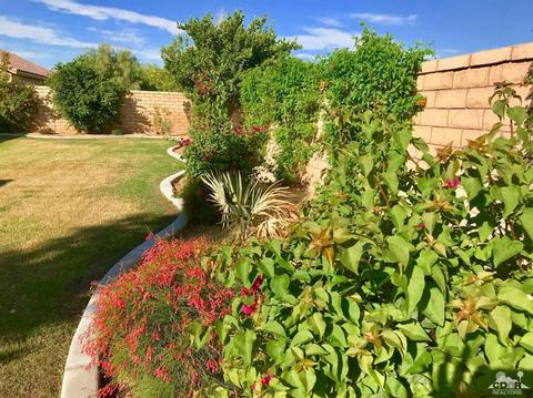 41126 Langley Ct, Indio, CA 92203 photo 31