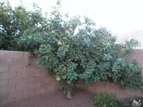 43123 Avenida Isabella, Indio, CA 92203 photo 34