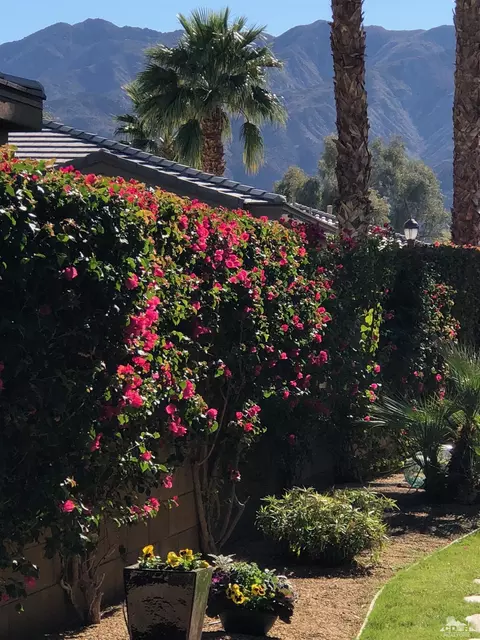 81415 Jacaranda Ct, La Quinta, CA 92253 photo 47