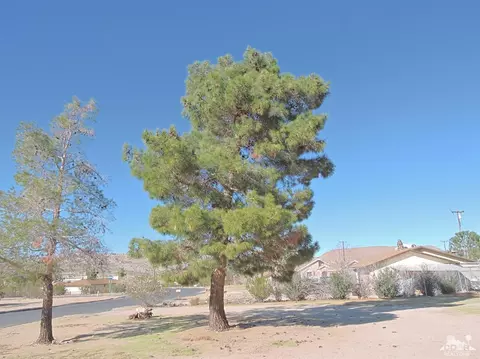 6995 Hanford Ave, Yucca Valley, CA 92284 photo 25
