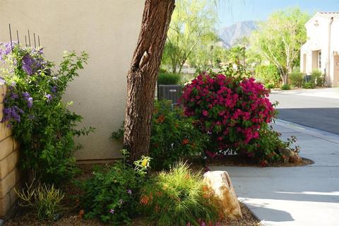 79338 Cool Reflection, La Quinta, CA 92253 photo 3