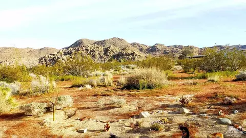 6940 Mount Lassen Ave, Joshua Tree, CA 92252 photo 19