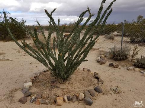 974 Sunfair Rd, Joshua Tree, CA 92252 photo 15