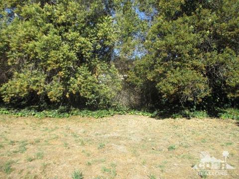 992 N Willow Ave, Rialto, CA 92376 photo 9