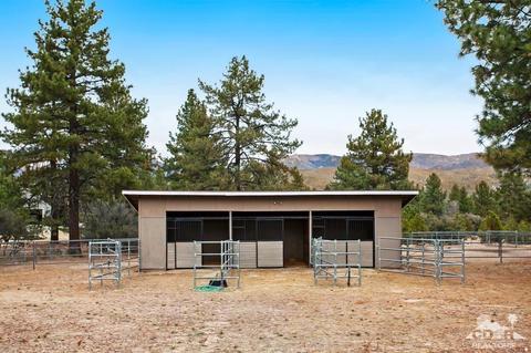 60189 Devils Ladder Rd, Mountain Center, CA 92561 photo 19
