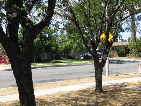 1139 N Acacia Ave, Rialto, CA 92376 photo 24