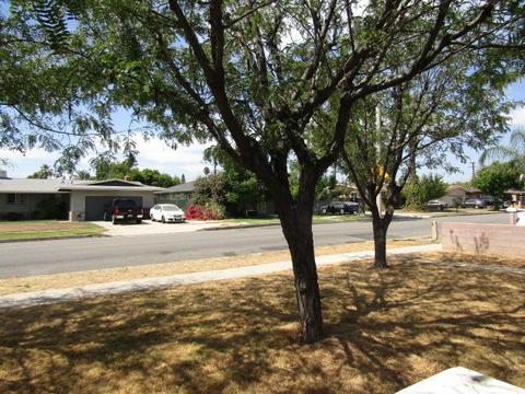 1139 N Acacia Ave, Rialto, CA 92376 photo 27