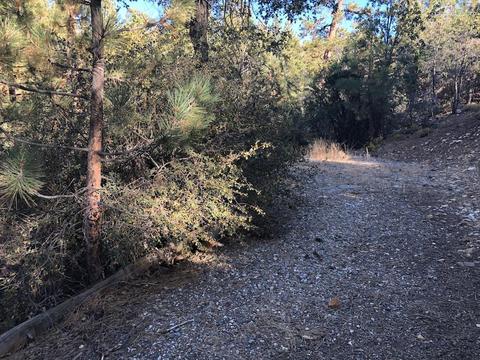 653 Inyo Ave, Sugarloaf, CA 92386 photo 4