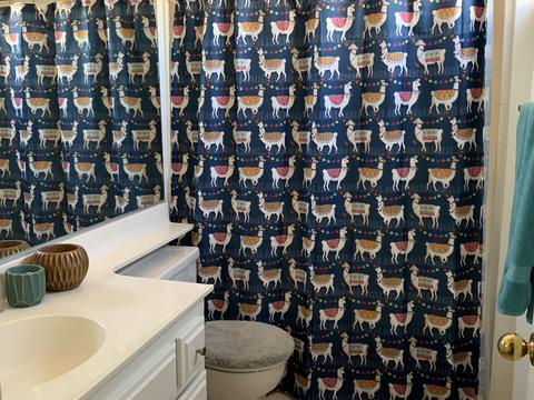 46434 Monte Vista Dr, Indio, CA 92201 photo 19