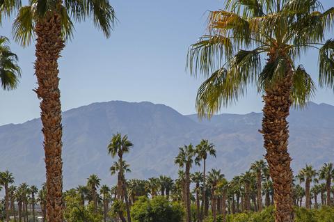 43091 Fiore St, Indio, CA 92203 photo 40