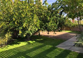 43091 Fiore St, Indio, CA 92203 photo 6