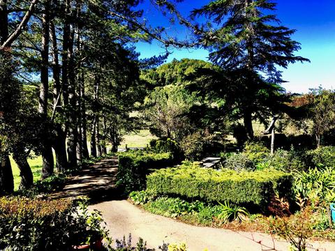 5500 Nicasio Valley Rd, Nicasio, CA 94946 photo 3