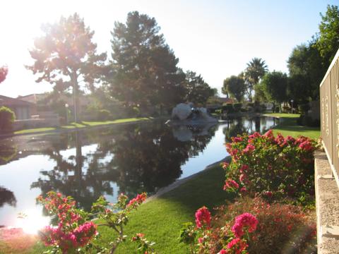 82209 Ullman Rd, Indio, CA 92201 photo 29