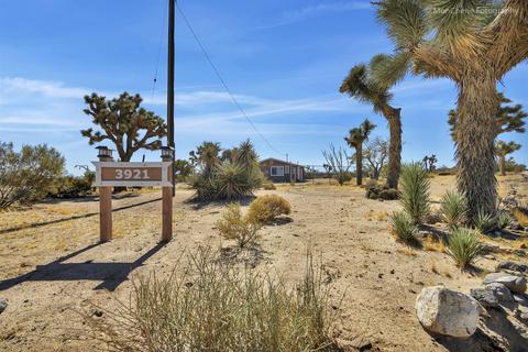 3921 Condalia Ave, Yucca Valley, CA 92284 photo 5