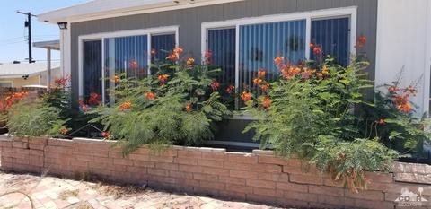 73640 Pacheta Square Sq, Thousand Palms, CA 92276 photo 20