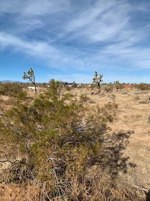 59688 Drexel Rd, Joshua Tree, CA 92252 photo 2