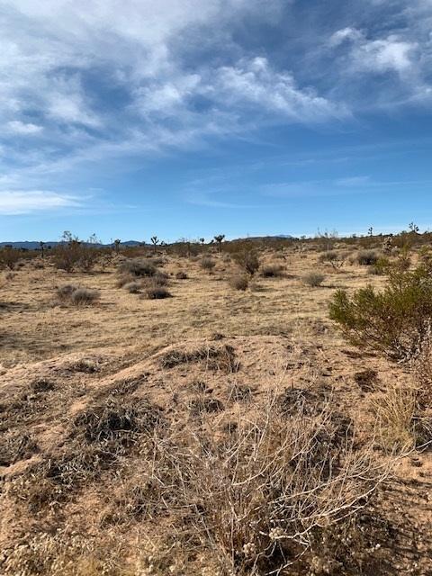 59688 Drexel Rd, Joshua Tree, CA 92252 photo 1
