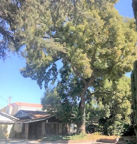 4214 Maxson Rd, El Monte, CA 91732 photo 1
