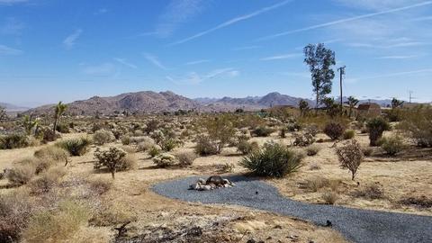 7191 Saddleback Rd, Joshua Tree, CA 92252 photo 5