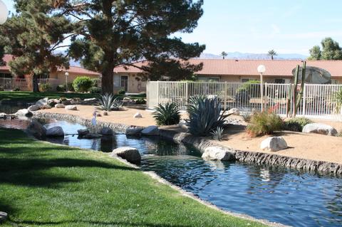 82181 Bergman Dr, Indio, CA 92201 photo 8