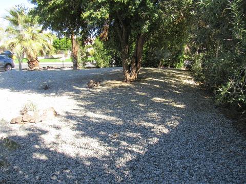 42593 May Pen Rd, Bermuda Dunes, CA 92203 photo 31