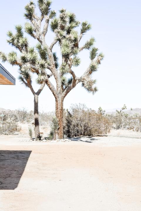 1424 Gibralter Rd, Landers, CA 92285 photo 28