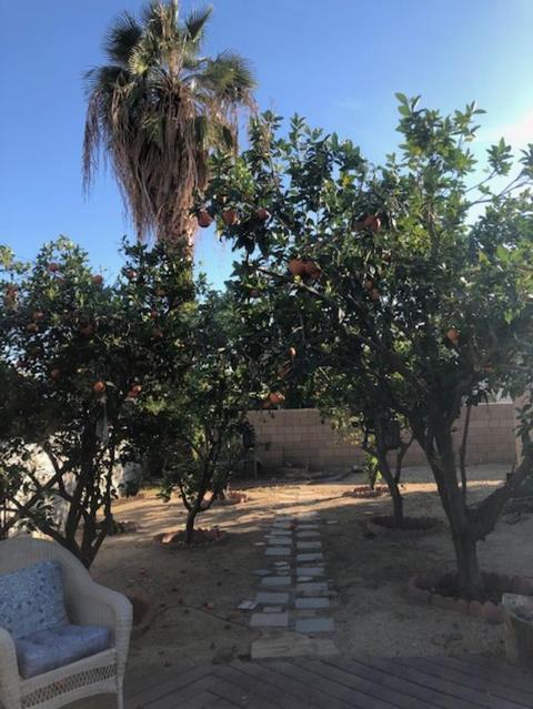 45962 Bucknell Ct, Indio, CA 92201 photo 13