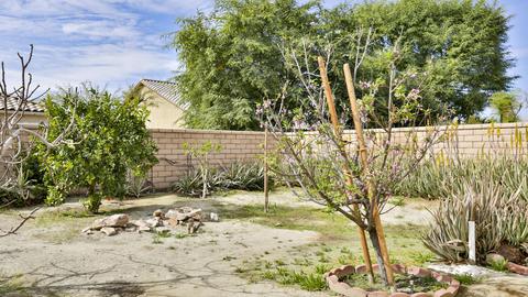 41367 Endicott Ct, Indio, CA 92203 photo 56