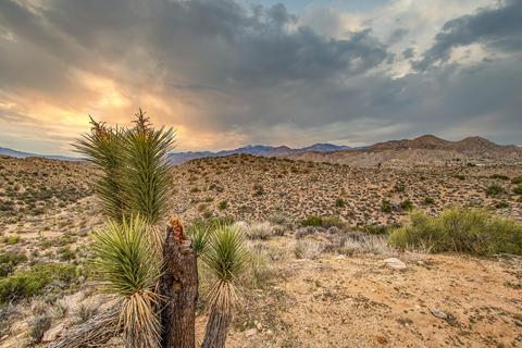 8008 Webb Trl, Yucca Valley, CA 92284 photo 29