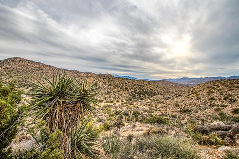 8008 Webb Trl, Yucca Valley, CA 92284 photo 28