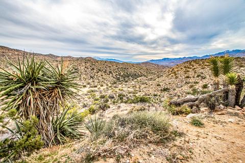 8008 Webb Trl, Yucca Valley, CA 92284 photo 27