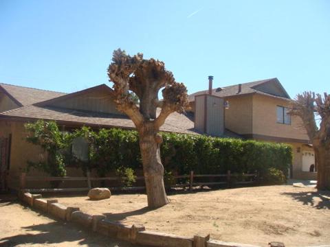 7089 Hanford Ave, Yucca Valley, CA 92284 photo 36