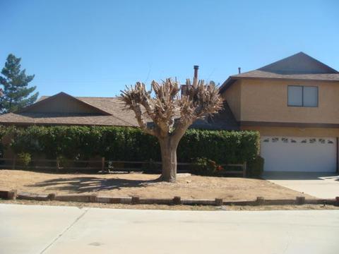 7089 Hanford Ave, Yucca Valley, CA 92284 photo 32