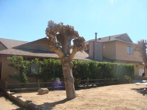 7089 Hanford Ave, Yucca Valley, CA 92284 photo 35