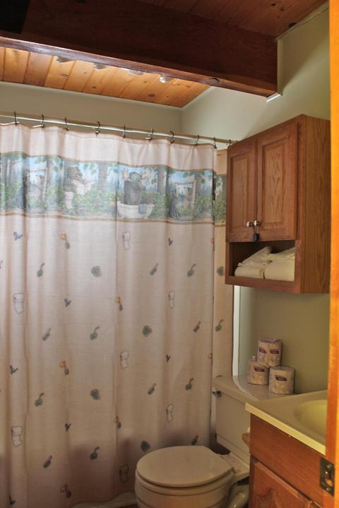 603 Pine Ln, Sugarloaf, CA 92386 photo 20