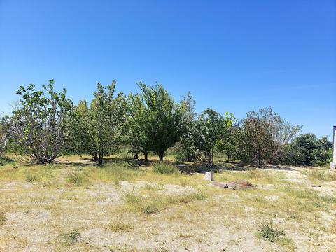 9261 60th St W, Mojave, CA 93501 photo 5