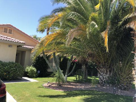 49701 Truman Way, Indio, CA 92201 photo 4