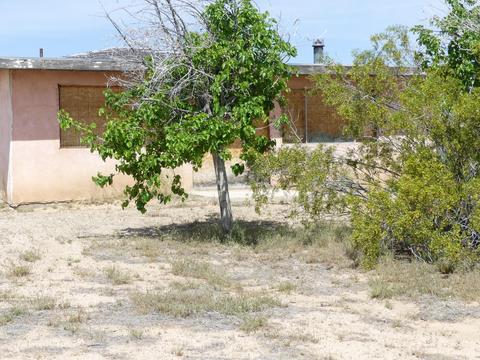 1020 Balsa Ave, Yucca Valley, CA 92284 photo 13