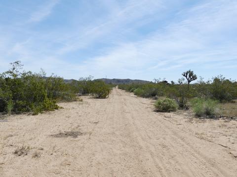 1020 Balsa Ave, Yucca Valley, CA 92284 photo 26