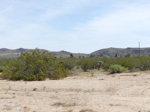 1020 Balsa Ave, Yucca Valley, CA 92284 photo 19