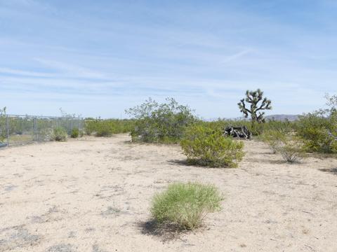 1020 Balsa Ave, Yucca Valley, CA 92284 photo 14