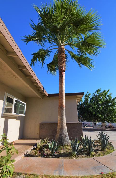 43927 Pacific Ave, Indio, CA 92201 photo 3
