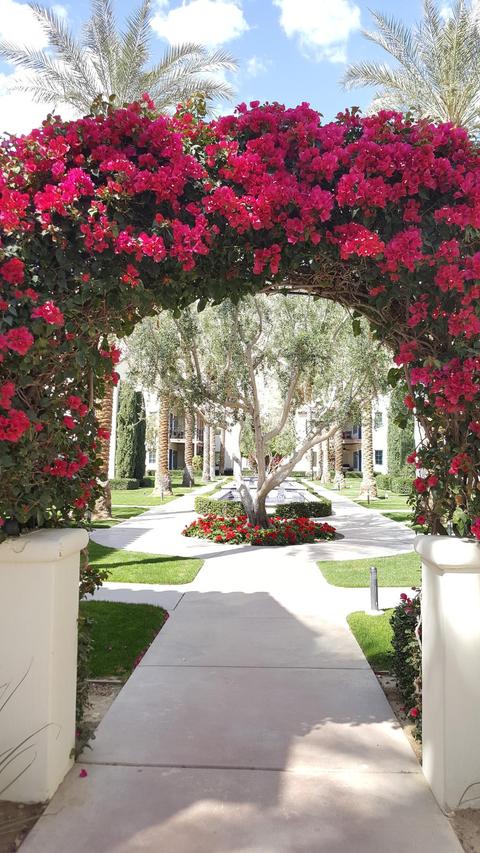 48545 Classic, La Quinta, CA 92253 photo 48