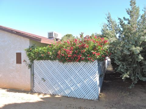 57740 Ivanhoe Dr, Yucca Valley, CA 92284 photo 30