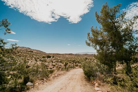 59838 Sun Oro Rd, Yucca Valley, CA 92284 photo 4
