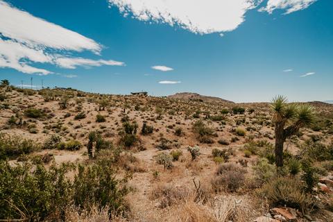 59838 Sun Oro Rd, Yucca Valley, CA 92284 photo 12